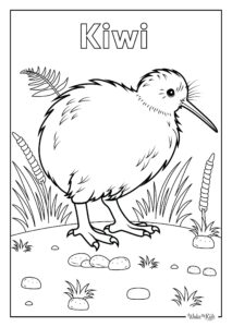 Kiwi Bird Coloring Pages