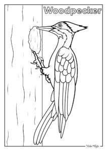 Woodpecker Coloring Pages