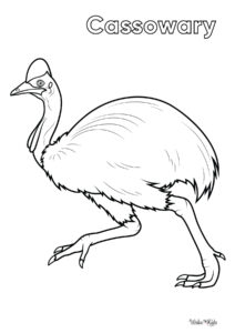 Cassowary Coloring Pages