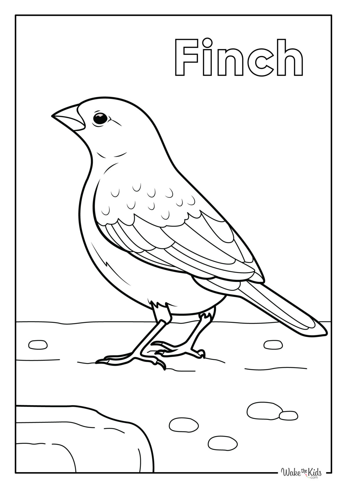 Finch Coloring Pages (Free Printable PDFs) | WakeTheKids