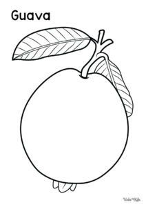 Guava Coloring Pages