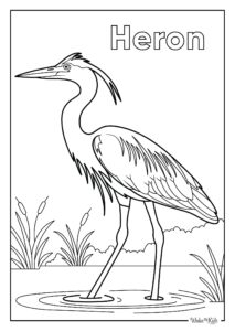 Heron Coloring Pages