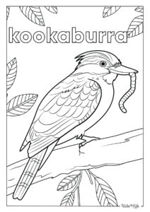 Kookaburra Coloring Pages