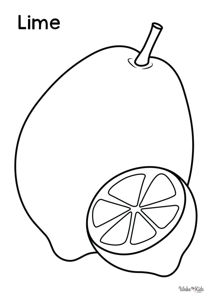 Lime (Fruit) Coloring Pages