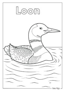 Loon Coloring Pages