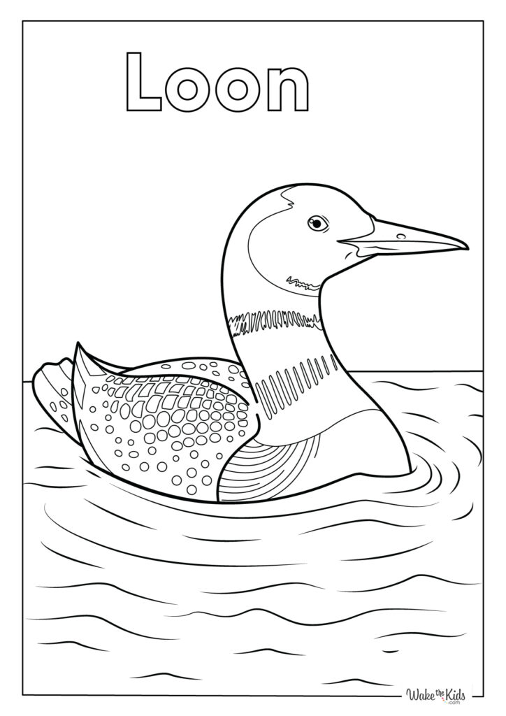 Loon Coloring Pages