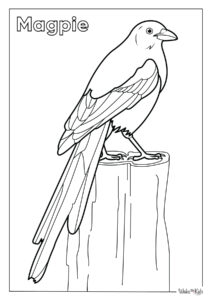 Magpie Coloring Pages