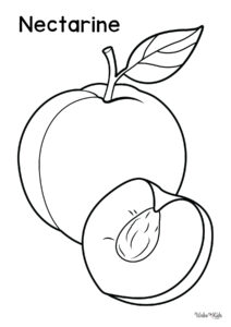 Nectarine Coloring Pages