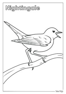 Nightingale Coloring Pages