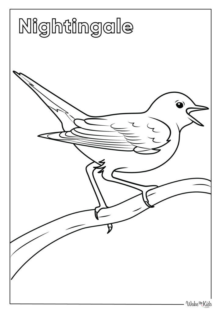 Nightingale Coloring Pages