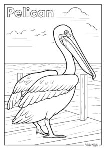 Pelican Coloring Pages