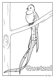 Quetzal Coloring Pages