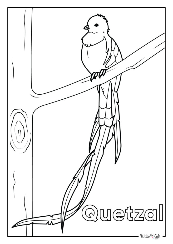 Quetzal Coloring Pages