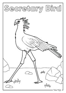 Secretarybird Coloring Pages