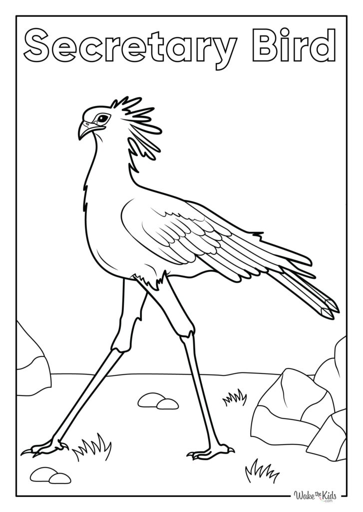 Secretarybird Coloring Pages