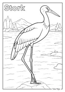 Stork Coloring Pages