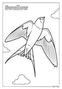 Swallow Coloring Pages