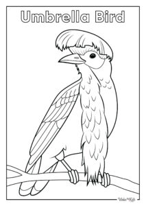 Umbrellabird Coloring Pages