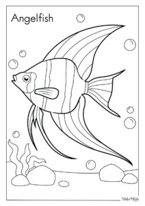 Angelfish Coloring Pages