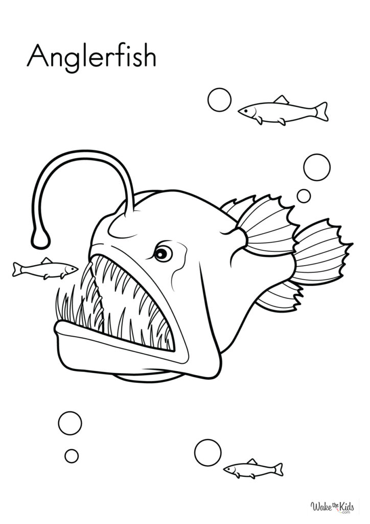 Anglerfish Coloring Pages