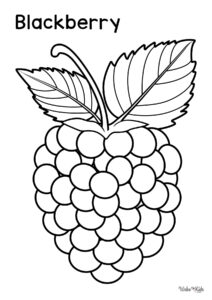 Blackberry (Fruit) Coloring Pages