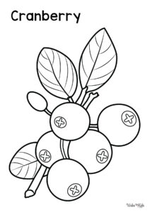 Cranberry (Fruit) Coloring Pages