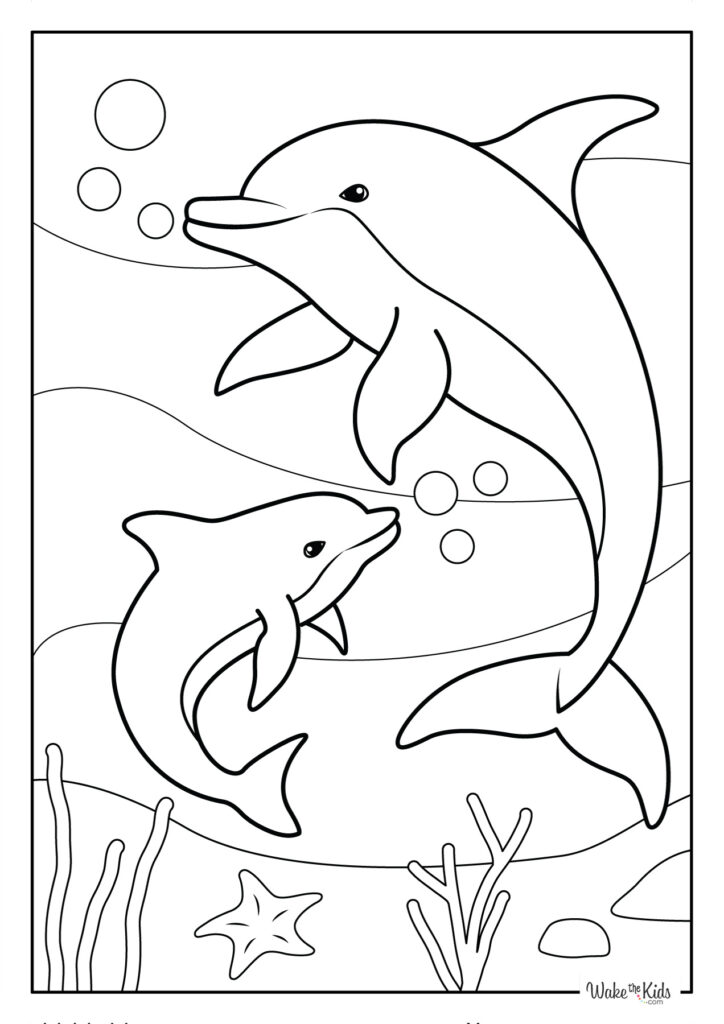 Dolphin Coloring Pages