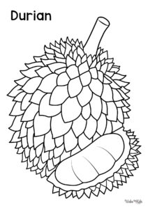 Durian Coloring Pages