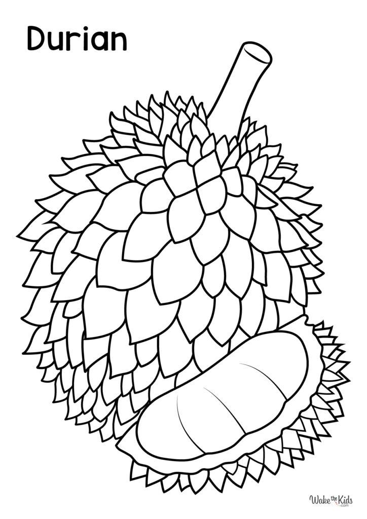 Durian Coloring Pages