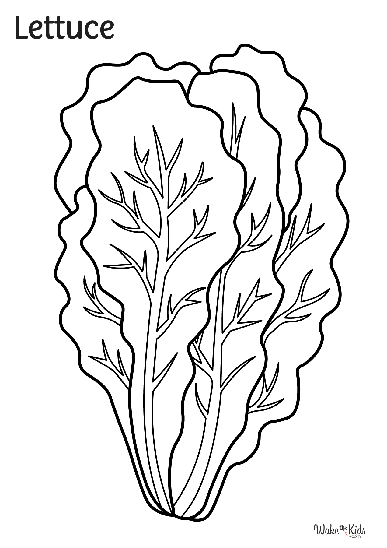 Lettuce Coloring Pages Free Printable PDFs WakeTheKids
