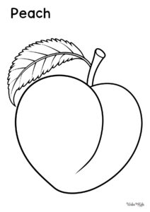 Peach (Fruit) Coloring Pages