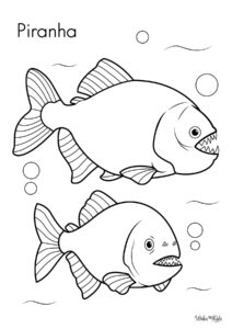 Piranha Coloring Pages