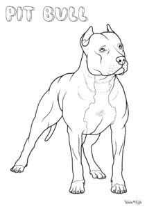 Pit Bull Coloring Pages