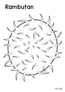 Rambutan (Fruit) Coloring Pages