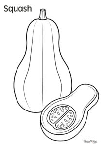 Squash Coloring Pages