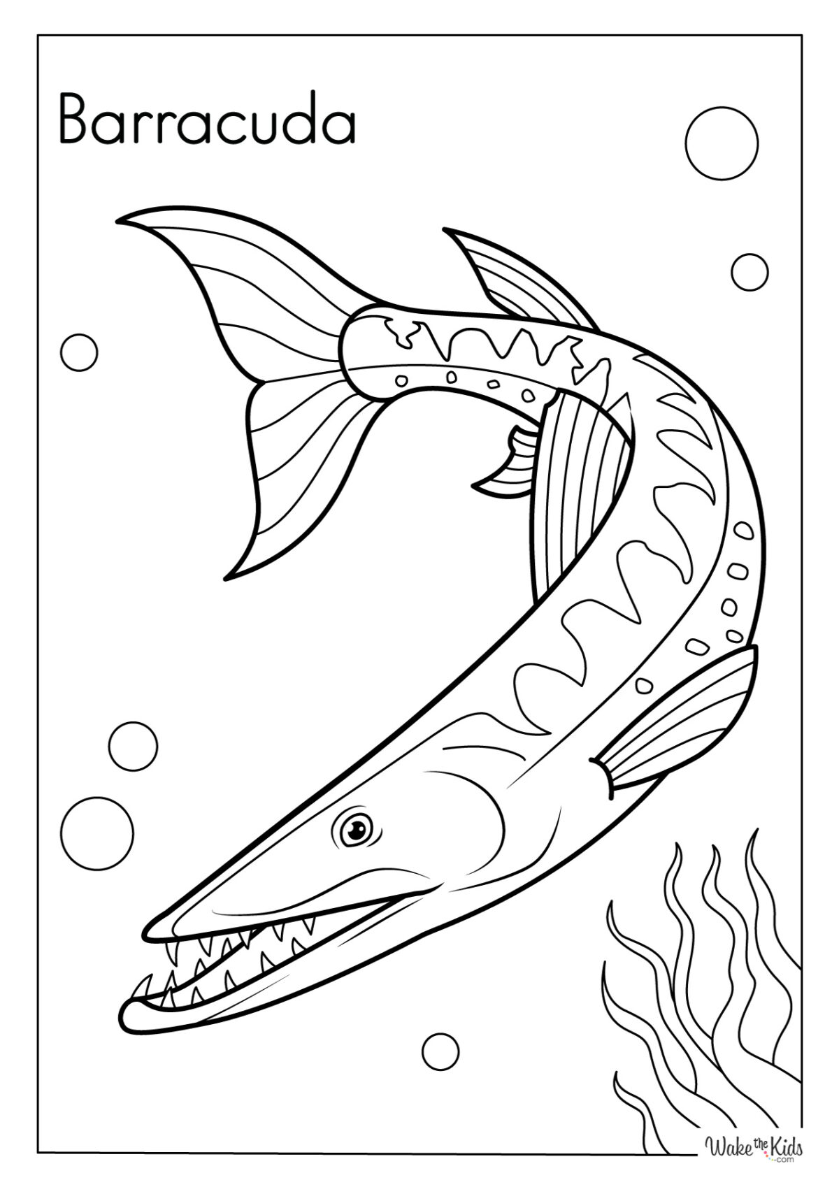 Barracuda Coloring Pages Free - Barracuda Coloring Page 1200x1698 