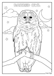 Barred Owl Coloring Pages