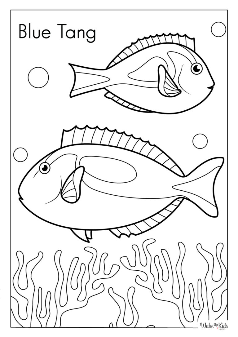 Blue Tang Coloring Pages
