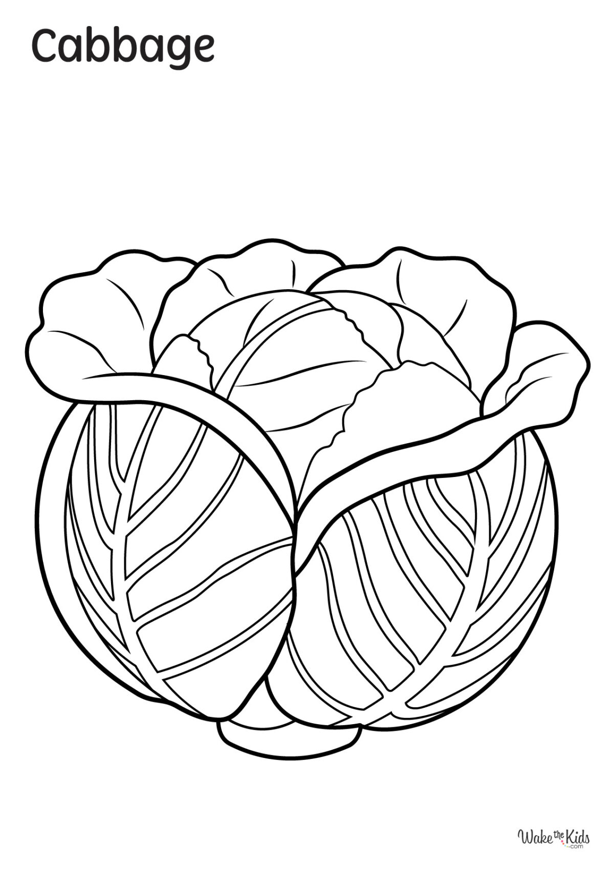 Cabbage Coloring Pages (Free Printable PDFs) | WakeTheKids