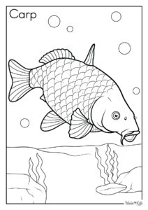 Carp Coloring Pages