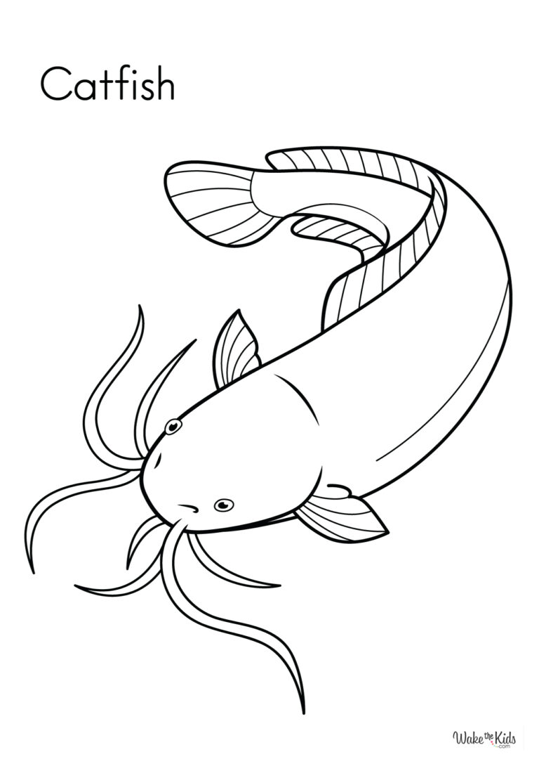 Catfish Coloring Pages