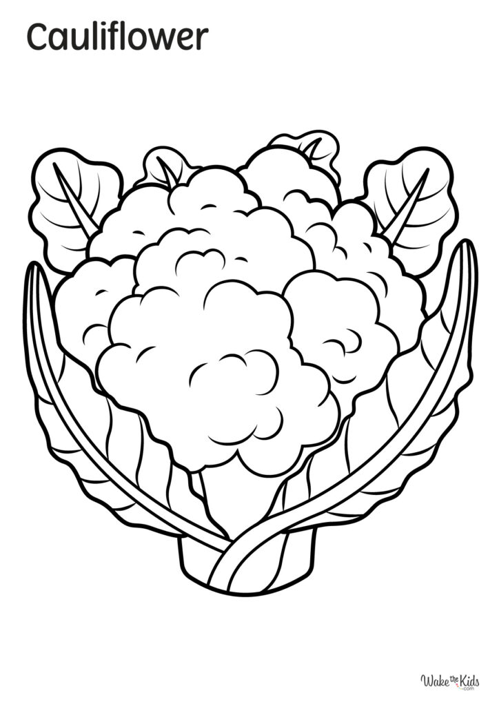 Cauliflower Coloring Pages