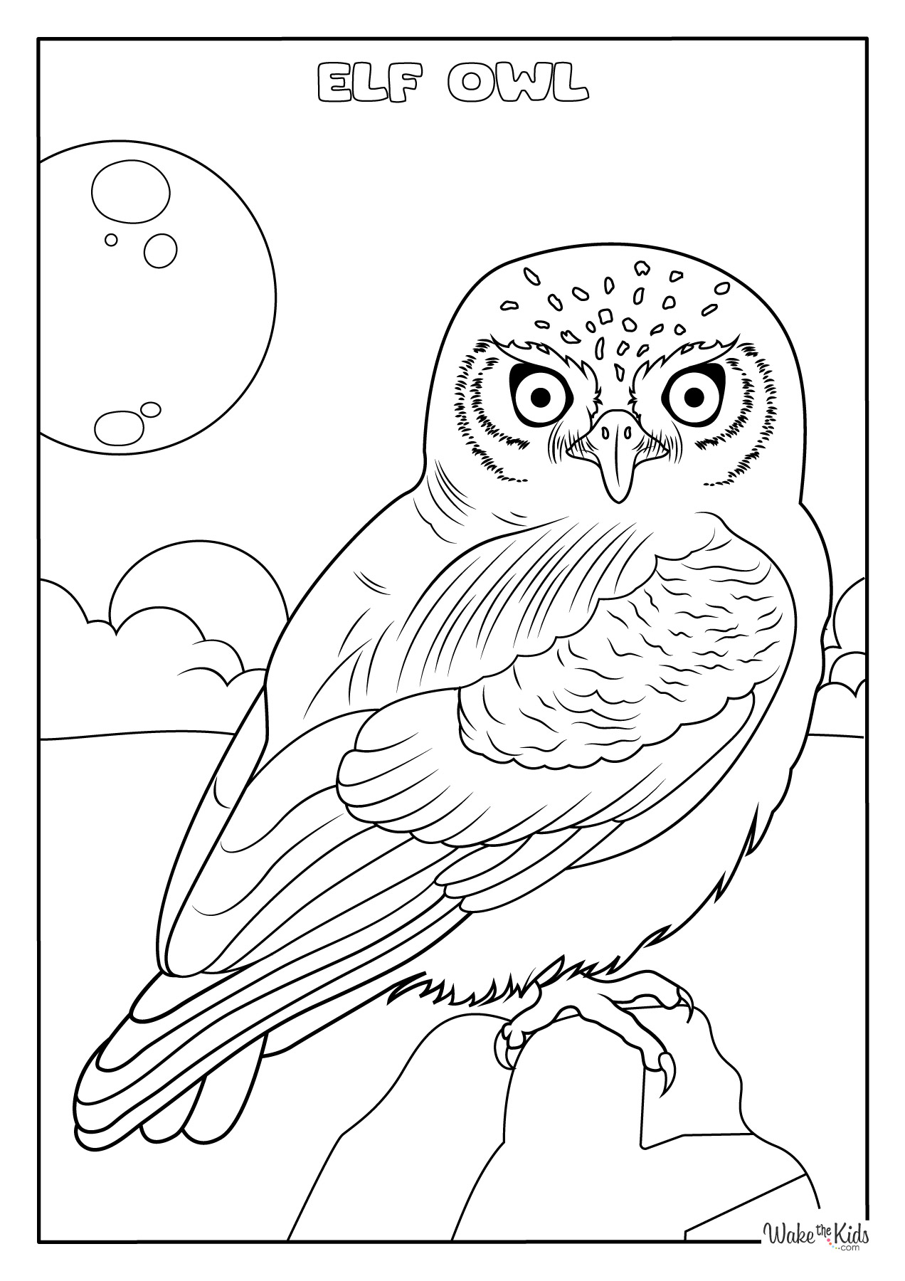 Elf Owl Coloring Pages Free Printable PDFs WakeTheKids