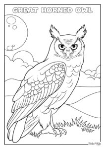 Great Horned Owl Coloring Pages