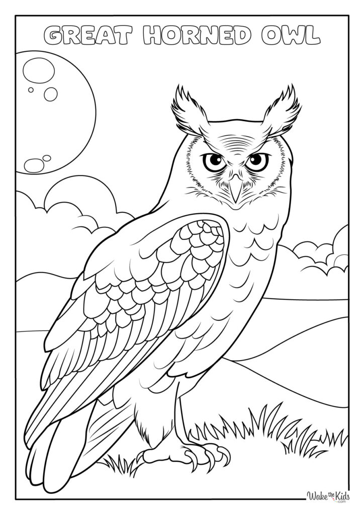 Great Horned Owl Coloring Pages