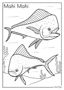 Mahi Mahi Coloring Pages