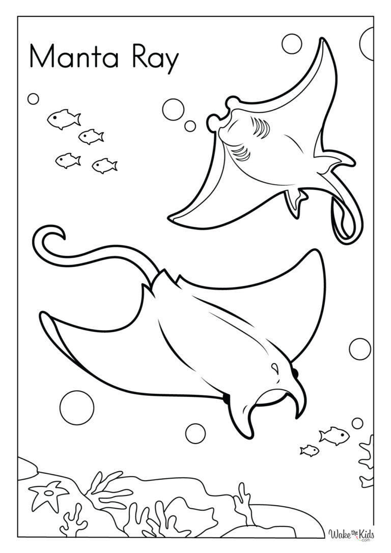 Manta Ray Coloring Pages