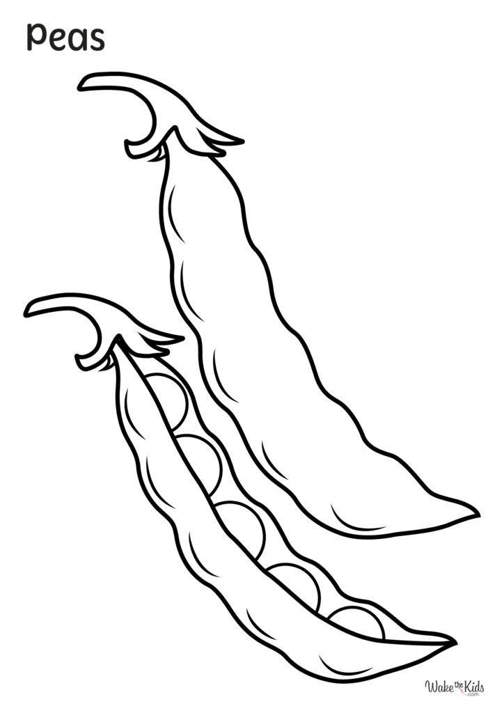 Tomato coloring pages free printable pdfs wakethekids