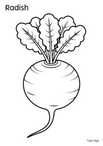 Radish Coloring Pages