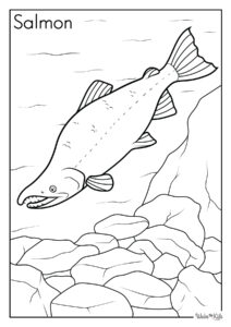 Salmon Coloring Pages